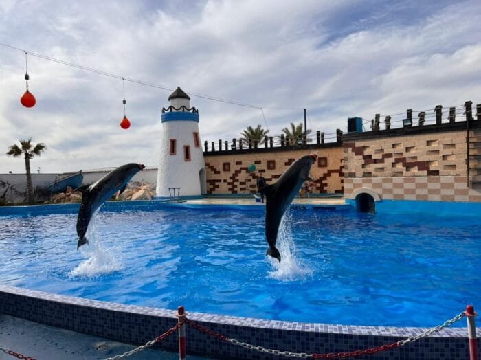 Parc des Dauphins Agadir
