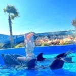 Parc des Dauphins Agadir