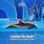 Parc des Dauphins Agadir
