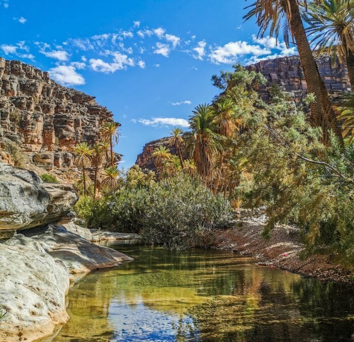 Ait Mansour Tafraout
