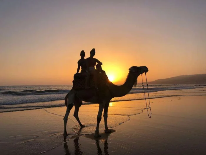 Balade en dromadaire Agadir