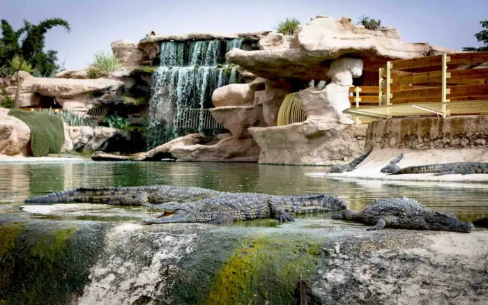 crocoparc agadir