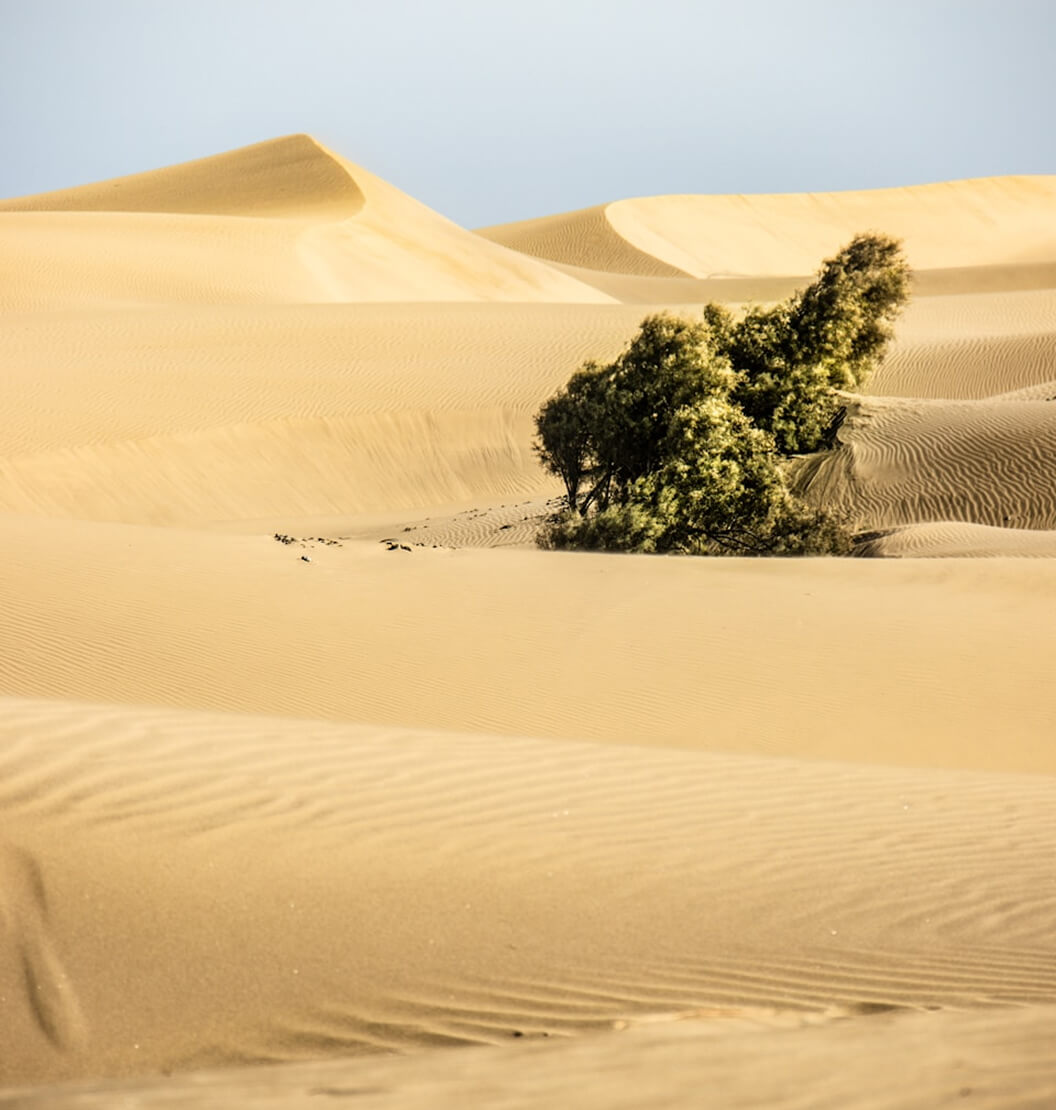 Visiter Agadir avec Abdoul Agadir