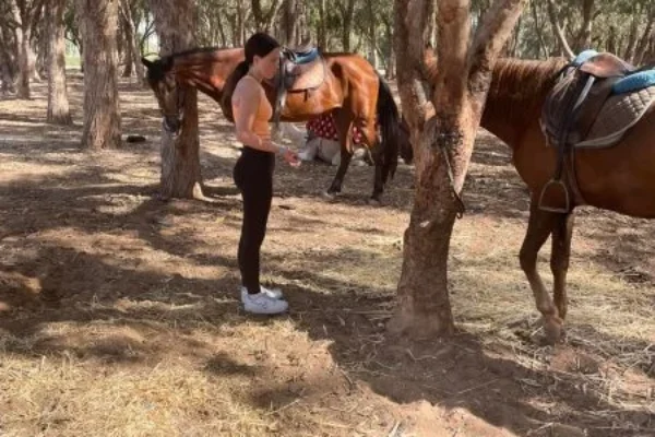 Balade à Cheval à Agadir : Forêt d&rsquo;Eucalyptus et Flamants Roses