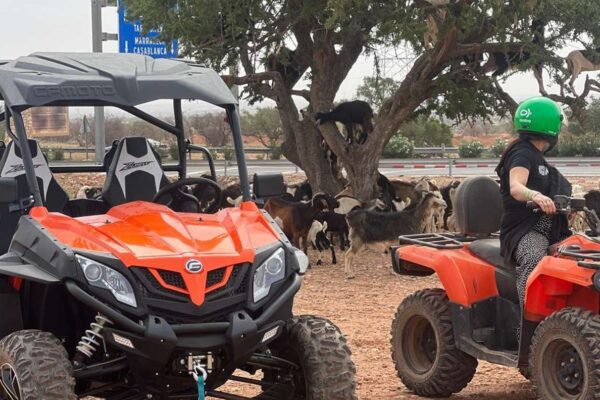 Randonnée en Buggy à Agadir