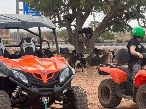 Randonnée en Buggy à Agadir