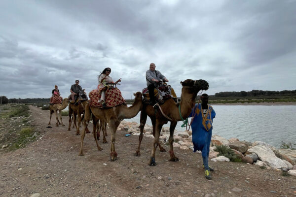 Balade à Dos de Dromadaire Agadir