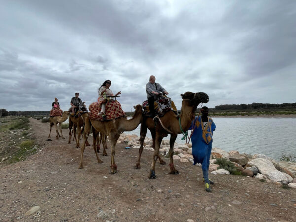 Balade à Dos de Dromadaire Agadir